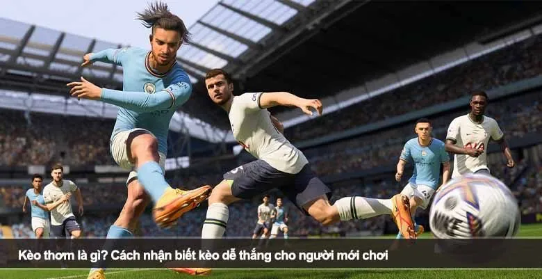 Kinh nghiệm quản lý vốn khi thực hiện soi Odds